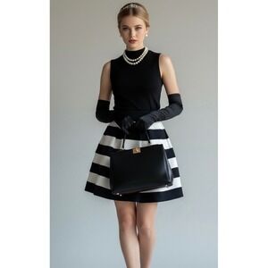 Express Striped Pleated Small A-Line Skirt Black White Textured Fit and Flare